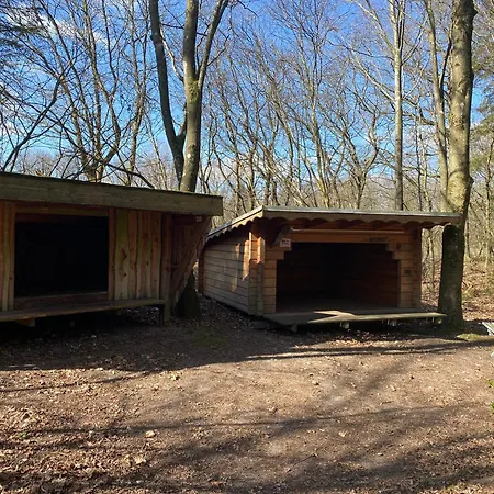 Krogager Primitiv - Krogen * גרינדסטד