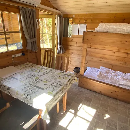 Krogager Primitiv - Krogen *